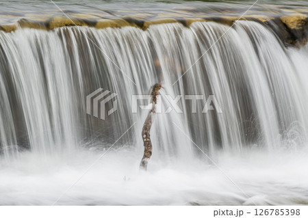 勢いよく堰を流れ下る水　京都市高野川 126785398