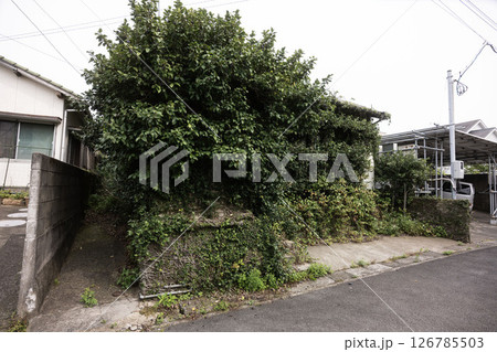 廃墟となった家/無人の家/蔦の絡まった家/二階建て/一軒家/老朽化した家/鬱蒼とした家 126785503