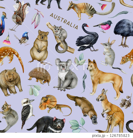 Australian fauna with floral elements seamless pattern. Hand drawn koala, kangaroo, dingo, bilby, quokka, platypus, kookaburra illustrations. Australia animals and birds pattern, lavender background 126785823