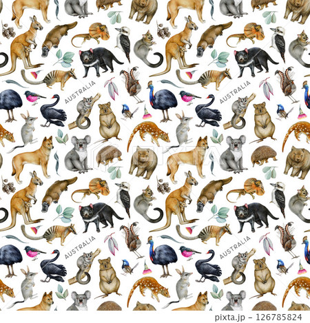 Australian fauna with floral elements seamless pattern. Hand drawn koala, kangaroo, dingo dog, quokka, platypus, kookaburra on white background. Australia birds and animals design fabric element. 126785824