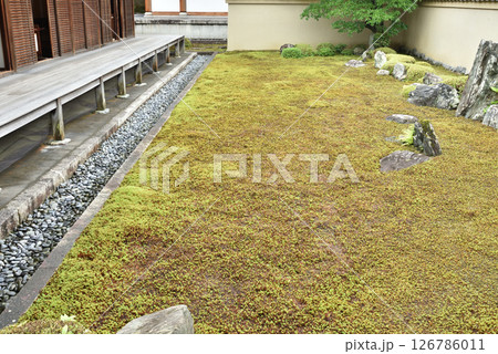 大徳寺塔頭龍源院 竜吟庭(方丈北庭) 大徳寺塔頭龍源院 竜吟庭(方丈北庭) 126786011