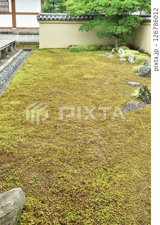 大徳寺塔頭龍源院 竜吟庭(方丈北庭) 大徳寺塔頭龍源院 竜吟庭(方丈北庭) 126786012