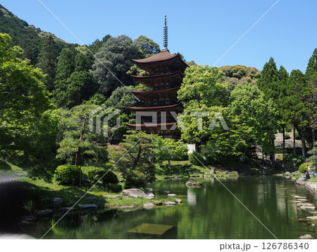 瑠璃光寺五重塔2025 瑠璃光寺五重塔2025 126786340