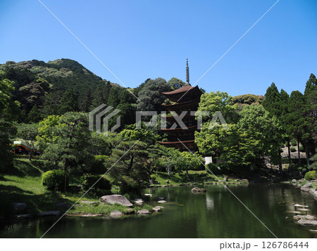 瑠璃光寺五重塔2025 126786444