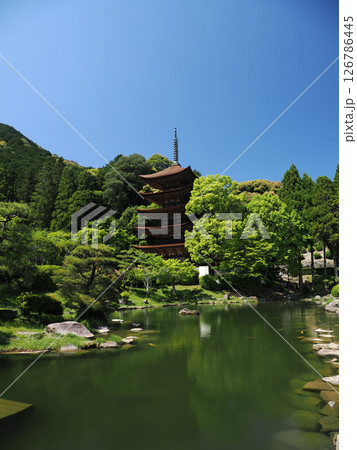 瑠璃光寺五重塔2025 瑠璃光寺五重塔2025 126786445