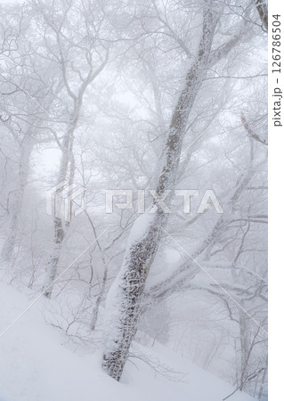 冬の石鎚山 126786504