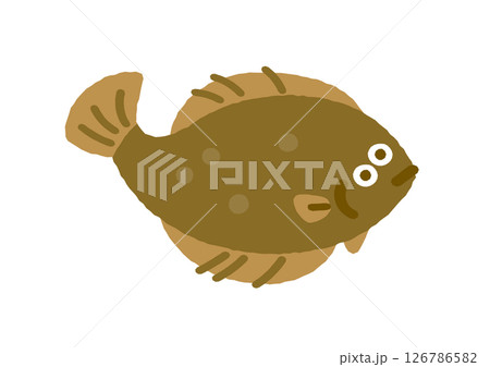 カレイ カレイ 126786582