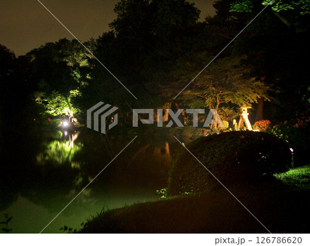 石川県金沢市の兼六園の霞ヶ池の徽軫灯籠 126786620