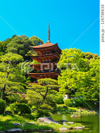 瑠璃光寺五重塔2025 瑠璃光寺五重塔2025 126786638