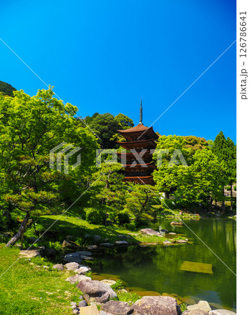 瑠璃光寺五重塔2025 126786641