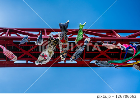 中尾城公園の鯉のぼり【長崎県西彼杵郡長与町】 126786662