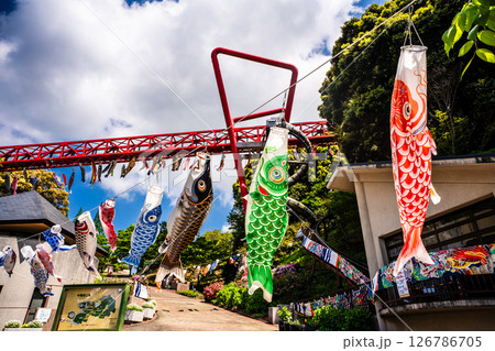 中尾城公園の鯉のぼり【長崎県西彼杵郡長与町】 126786705