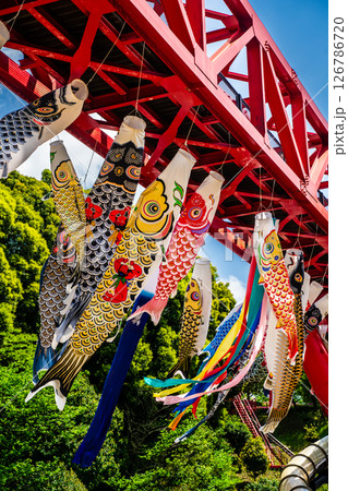 中尾城公園の鯉のぼり【長崎県西彼杵郡長与町】 中尾城公園の鯉のぼり【長崎県西彼杵郡長与町】 126786720
