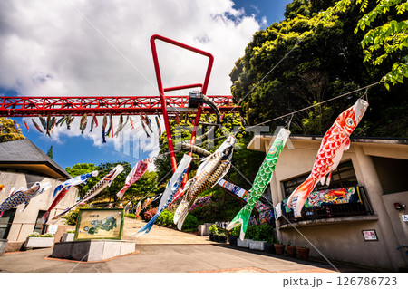 中尾城公園の鯉のぼり【長崎県西彼杵郡長与町】 126786723