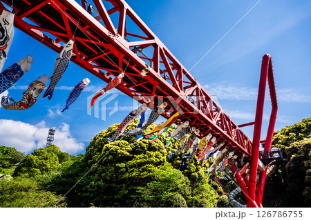 中尾城公園の鯉のぼり【長崎県西彼杵郡長与町】 中尾城公園の鯉のぼり【長崎県西彼杵郡長与町】 126786755