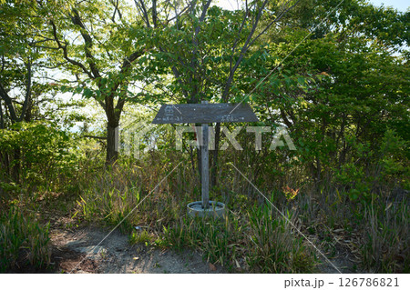 北山奥山 126786821