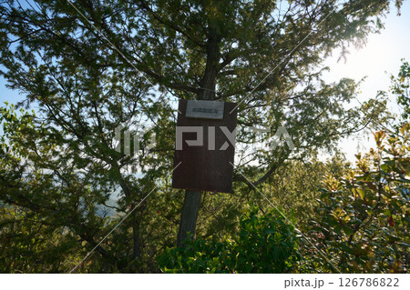 小高御位山 小高御位山 126786822