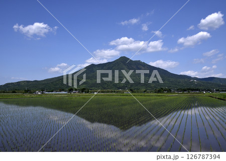 田植えを終えた水田と筑波山 田植えを終えた水田と筑波山 126787394