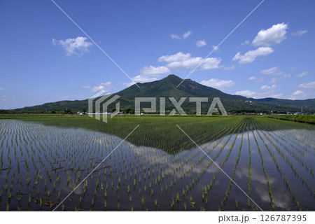 田植えを終えた水田と筑波山 田植えを終えた水田と筑波山 126787395