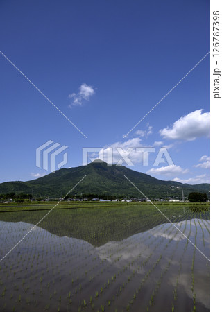 田植えを終えた水田と筑波山 126787398