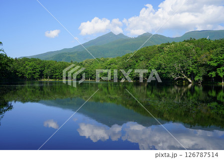 世界自然遺産知床　夏の知床五湖と知床連山　湖面に映る山と青空 126787514