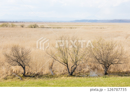 北海道、釧路湿原の風景 北海道、釧路湿原の風景 126787735