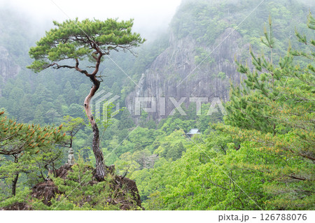 鳳来寺山の鏡岩と鐘楼一本松（吾郎塚） 126788076