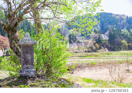 野仏と自然風景　白馬村 126788161