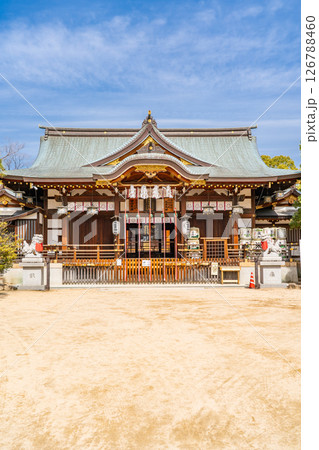 本住吉神社 拝殿(住吉三神を祀る神社)神戸市東灘区住吉宮町 本住吉神社 拝殿(住吉三神を祀る神社)神戸市東灘区住吉宮町 126788460