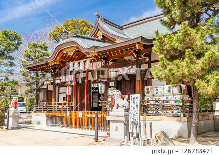 本住吉神社　拝殿（住吉三神を祀る神社）神戸市東灘区住吉宮町 126788471