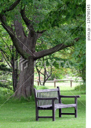 良い雰囲気の木製ベンチ　札幌花名所　百合が原公園　フラワーパーク 126790145