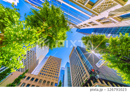 日本の東京都市景観　新緑…「大手町駅前」の交差点からのオフィスビル群を望む。新たな時代に希望の光 126791023
