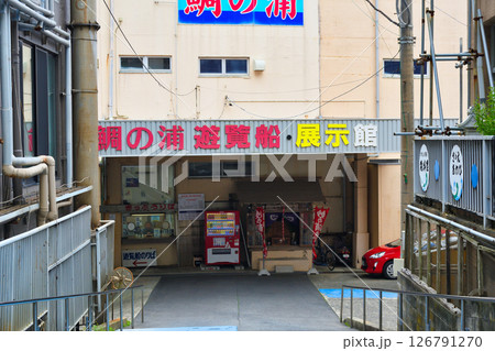 鯛の浦遊覧船（千葉県鴨川市） 126791270