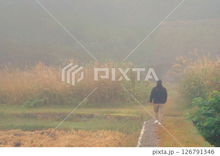 荻町合掌造り集落 世界文化遺産 白川郷 茅葺 荻町合掌造り集落 世界文化遺産 白川郷 茅葺 126791346