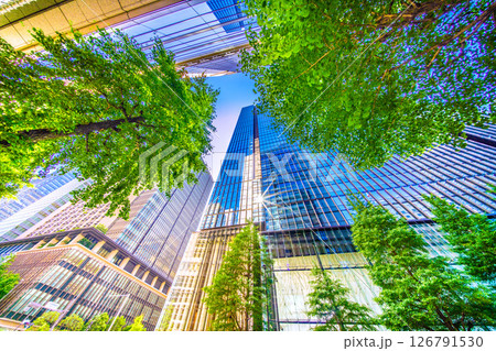 日本の東京都市景観　新緑…「大手町駅前」。オフィスビル群を望む。新たな時代に希望の光 126791530