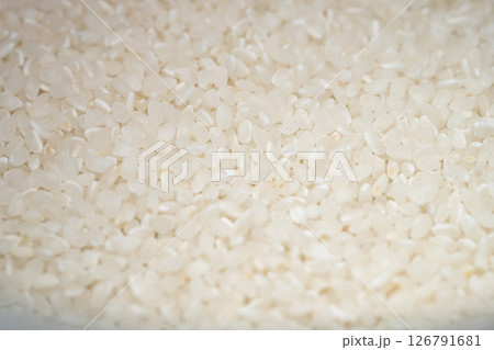 日本の米のアップ写真　(写真素材) 126791681