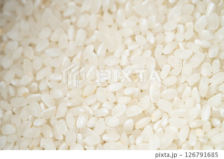日本の米のアップ写真　(写真素材) 126791685