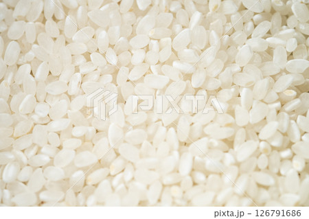 日本の米のアップ写真　(写真素材) 126791686