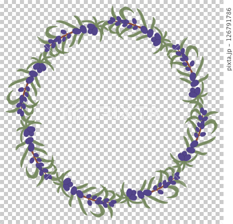 Elegant Hand-Drawn Botanical Wreath with Purple Berries and Green Leaves in a Natural Decorative Design. 126791786