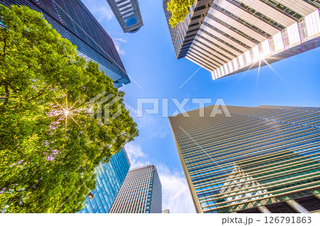 日本の東京都市景観 新緑や木漏れ日…大手町。大手町プレイスやアーバンネット大手町ビルなどを望む 126791863