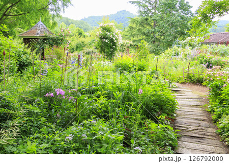 ローザンベリー多和田 満開のローズガーデン 126792000