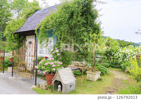 ローザンベリー多和田 満開のローズガーデン 126792013