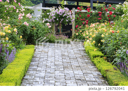 ローザンベリー多和田 満開のローズガーデン 126792041
