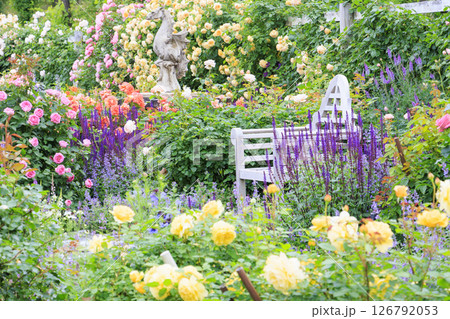 ローザンベリー多和田 満開のローズガーデン 126792053