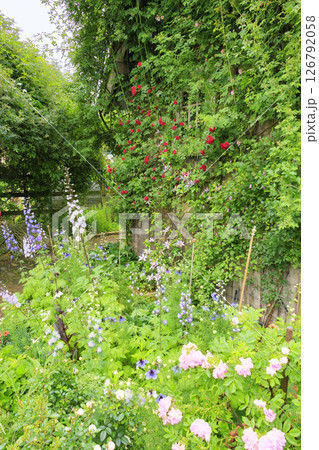 ローザンベリー多和田 満開のローズガーデン ローザンベリー多和田 満開のローズガーデン 126792058