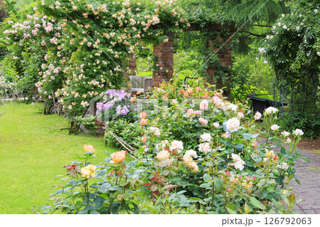 ローザンベリー多和田 満開のローズガーデン 126792063