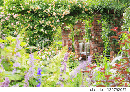ローザンベリー多和田 満開のローズガーデン ローザンベリー多和田 満開のローズガーデン 126792071
