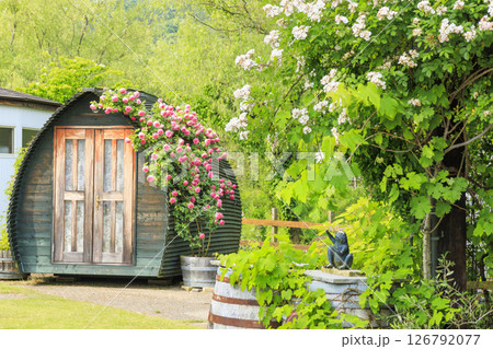 ローザンベリー多和田 満開のローズガーデン ローザンベリー多和田 満開のローズガーデン 126792077