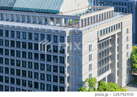 初夏の大阪市役所 (大阪府大阪市北区中之島) 126792450