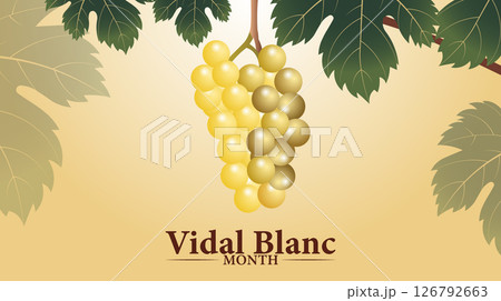 Sip into Summer, Celebrate Vidal Blanc Month, Holiday concept. use to background,	 126792663